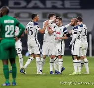 托特纳姆热刺对阿贾克斯 托特纳姆热刺对阿贾克斯